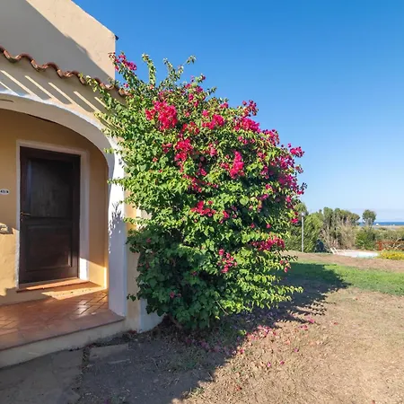 Selena * Punta de su Torrione